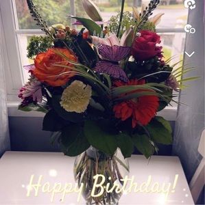 Meet your Posher, Jonni